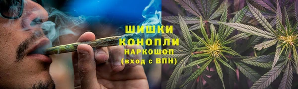 стафф Богданович